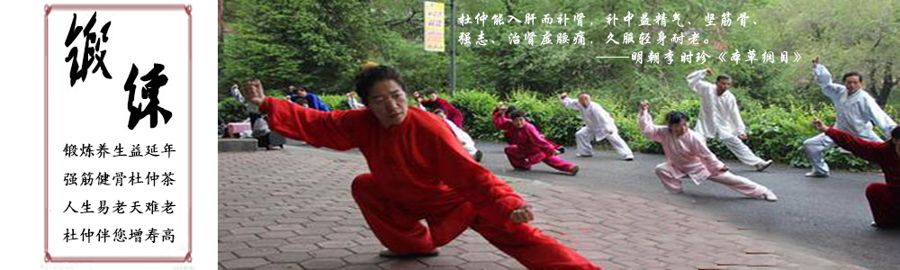 杜仲茶锻炼