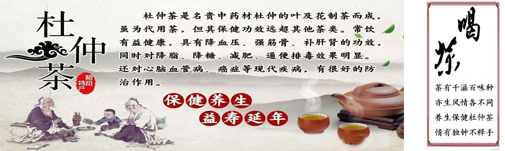 杜仲茶养生