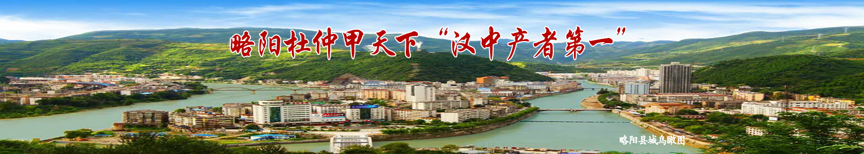 杜仲茶广告轮换1