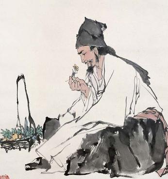 李时珍说杜仲